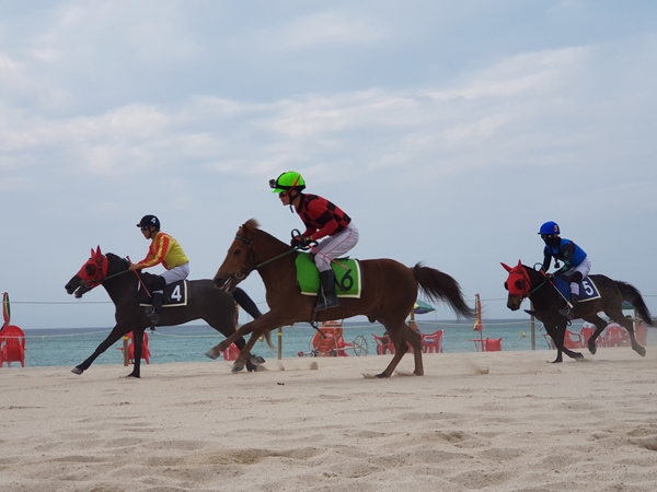 곽지 해변경주 사진