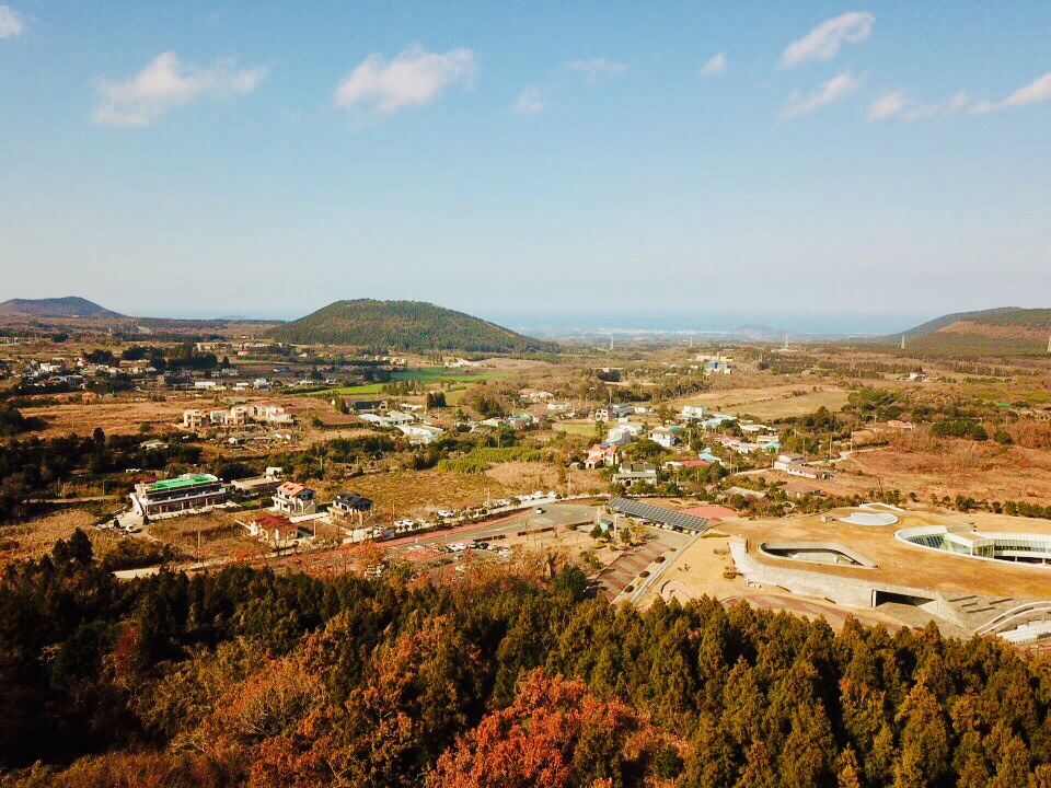선흘2리
