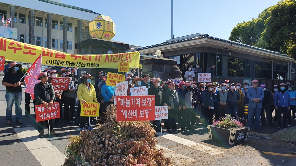 13일 오후 제주마늘생산자협회가 제주도청 앞에서 기자회견을 갖고 마늘 생산비 보장과 정부 수매량 확대를 주장하고 있다.