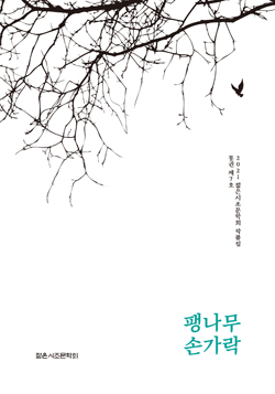 팽나무 손가락 표지