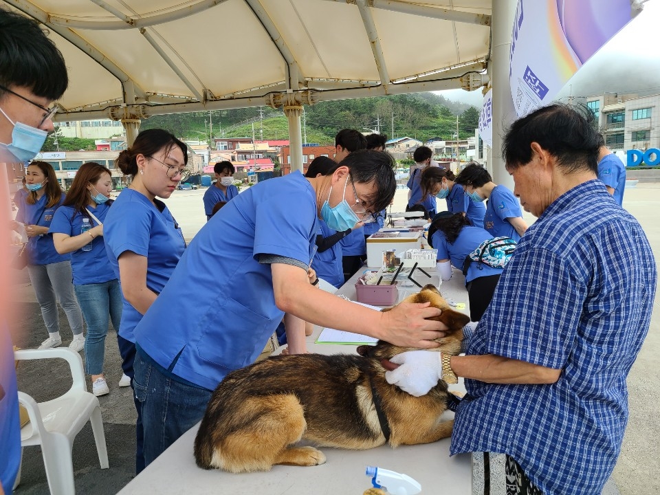 제주대, 동물 무료진료 활동 자료사진