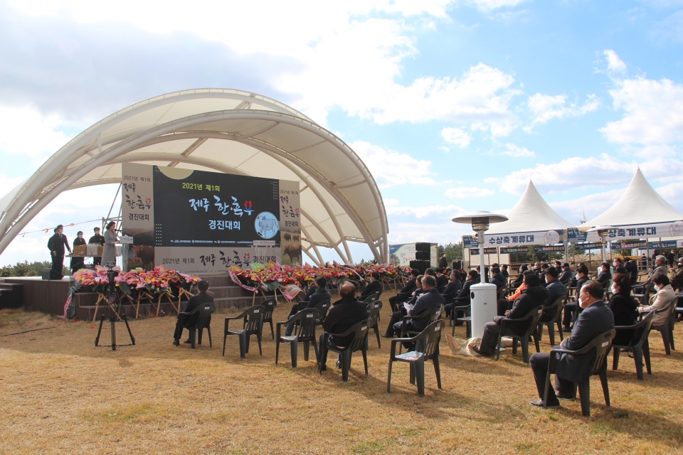 제1회 제주 한·흑우 경진대회