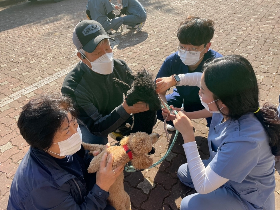 제주대 수의과대학, 동물 무료진료 봉사활동