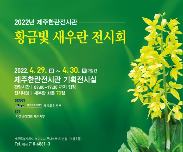 제주한란전시회_새우란기획전시회
