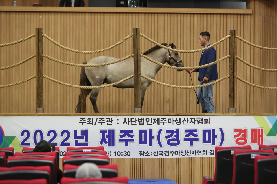 2022년 제주마경매마