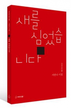서안나 시인 네 번째 시집 『새를 심었습니다』 표지