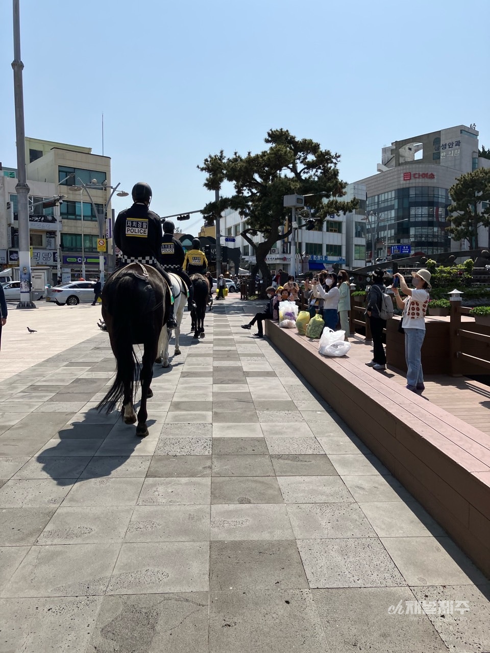 자치경찰기마대(사진제공=자치경찰단)