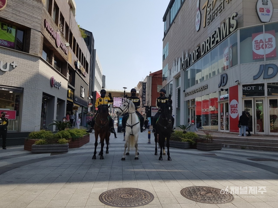 자치경찰기마대(사진제공=자치경찰단)