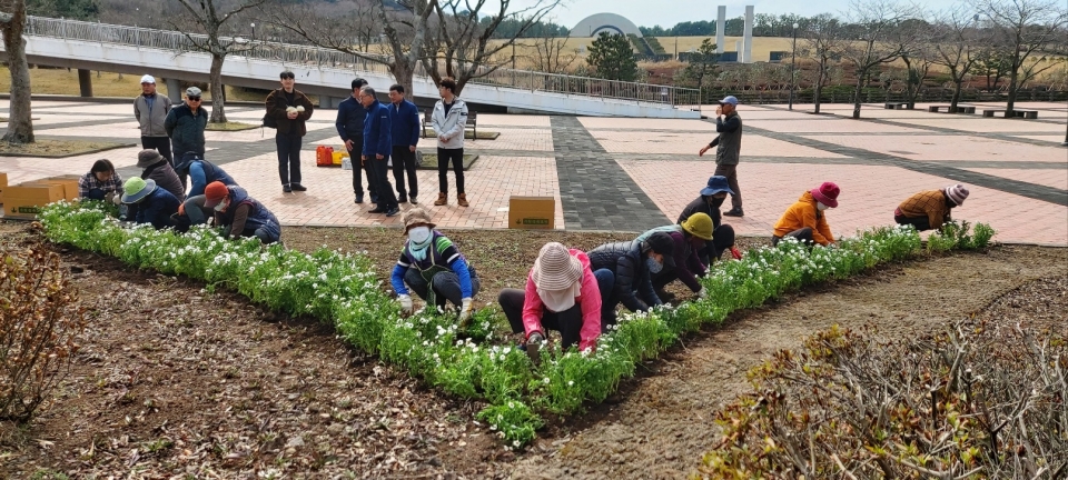 제주4.3평화공원 정원에 꽃심기 봉사