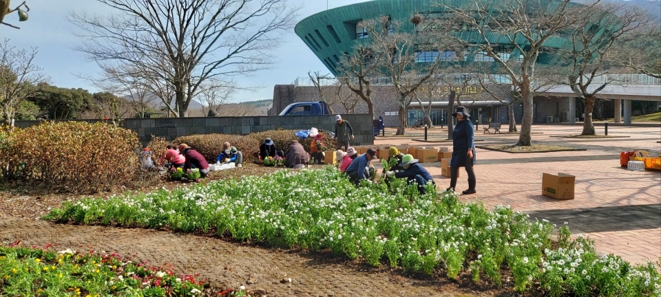 제주4.3평화공원 정원에 꽃심기 봉사