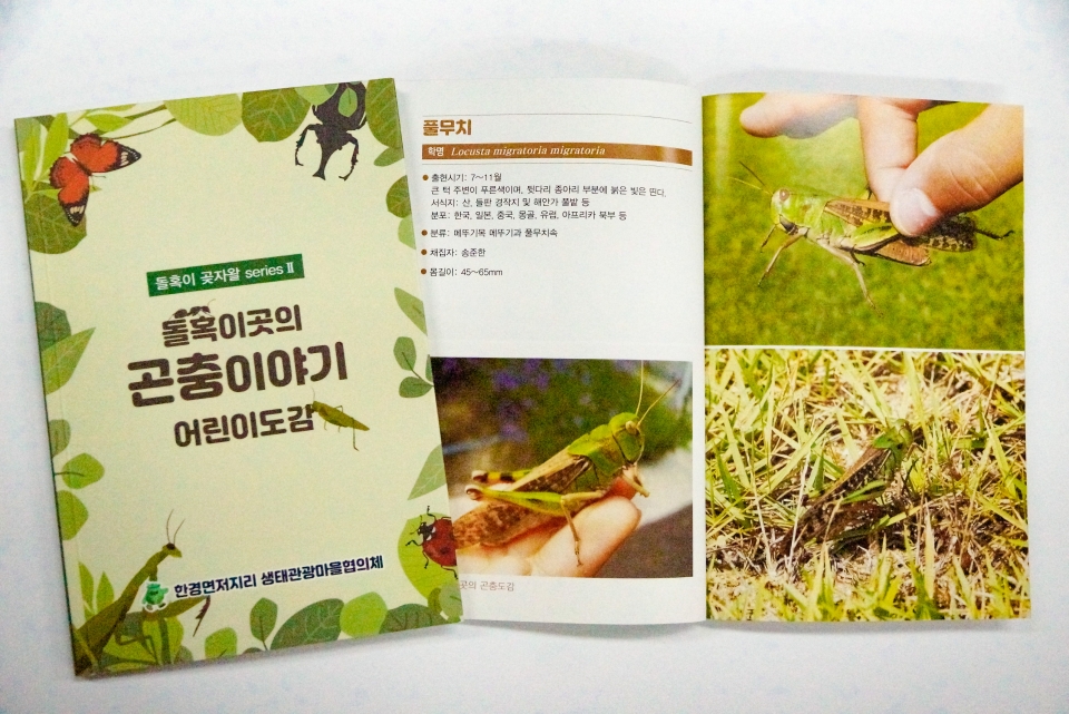 버섯과 곤충 어린이도감