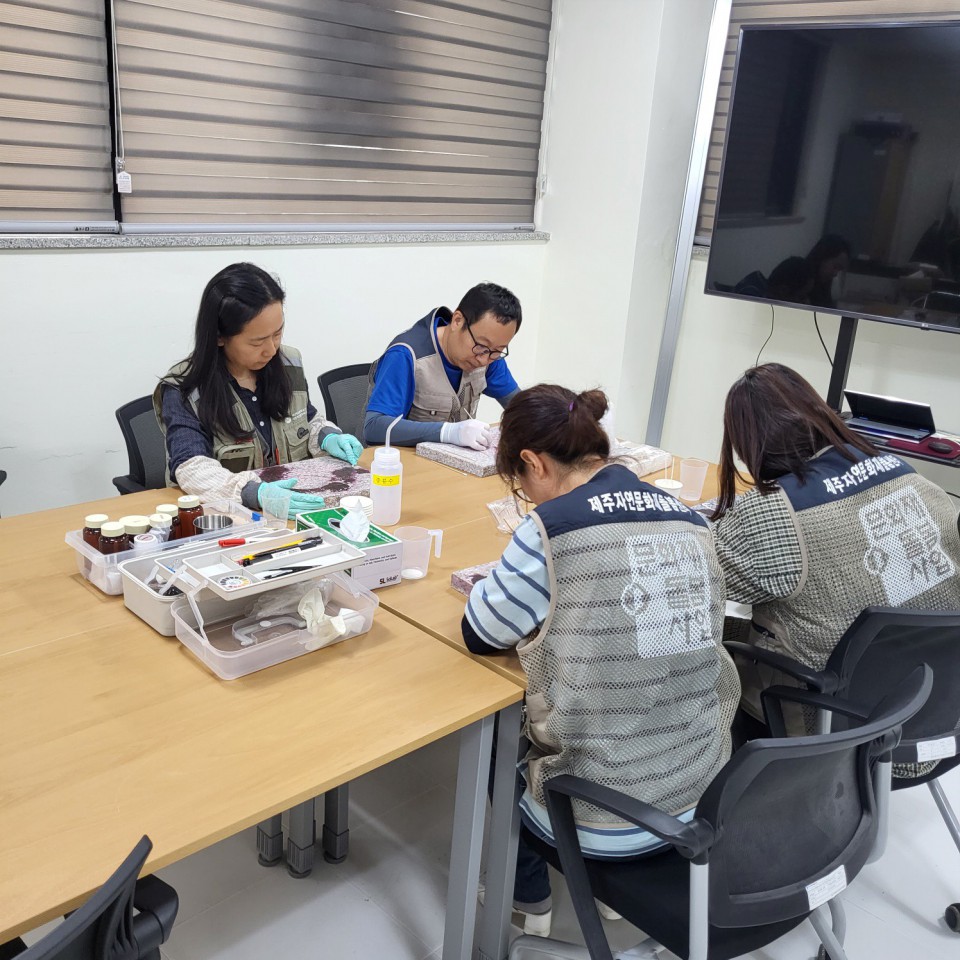 사진= 제주자연문화재돌봄센터 제공