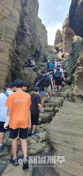 서귀포중 푸른세상시킴이 제주생태탐방 활동 사진