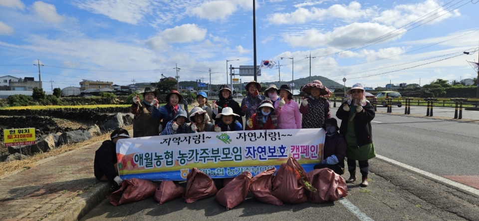 애월농협 농가주부모임, 애월읍 환경정비, 자연정화 캠페인 전개