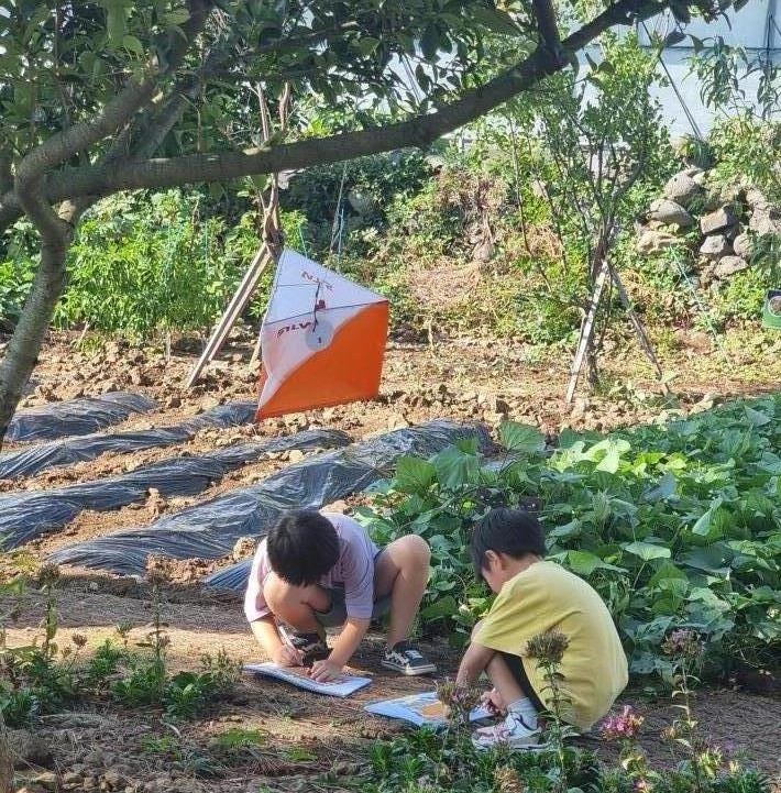 사진= 서귀포시 제공