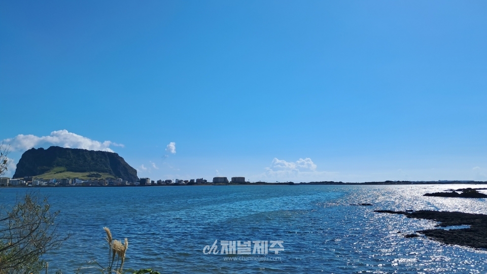 호국봉사단, 성산포 내수면 둑길 해안가 환경정화 펼쳐(사진제공=전몰군경유족회 제주도지부)