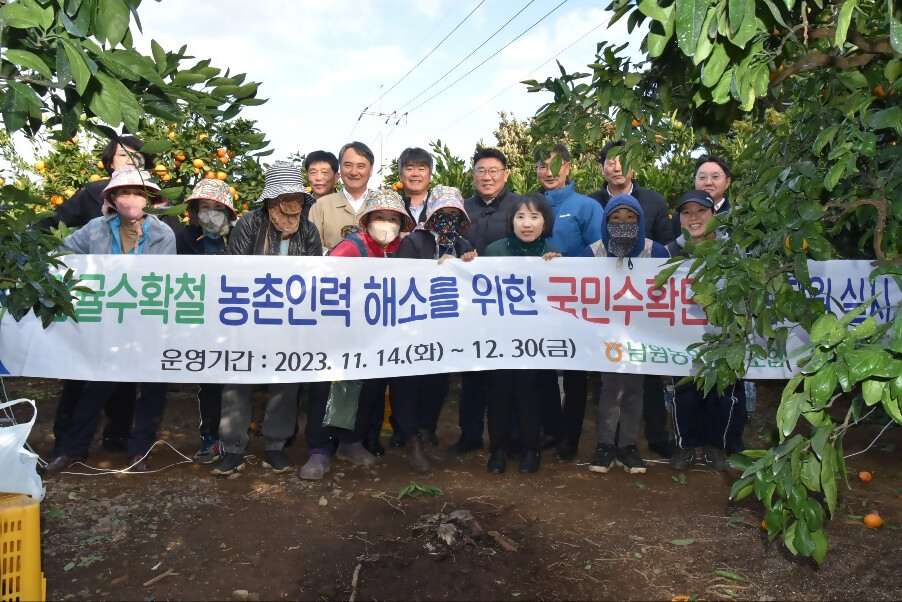 남원농협, 감귤수확철 농촌인력 해소를 위한 민수확단 영농지원 실시
