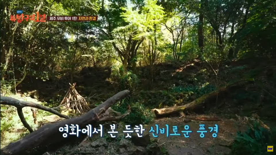 [제주신화월드] 환상숲곶자왈