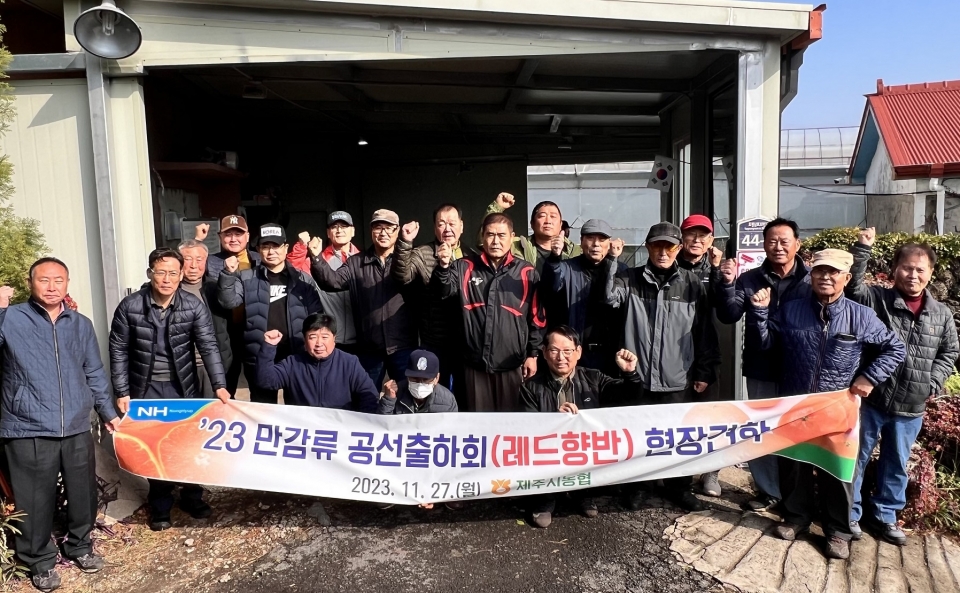 제주시농협, 만감류공선출하회 레드향반 우수농가 현장교육