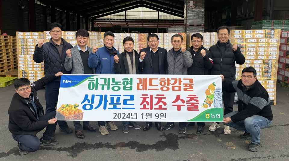 하귀농협, 레드향 싱가포르로 첫 수출 쾌거