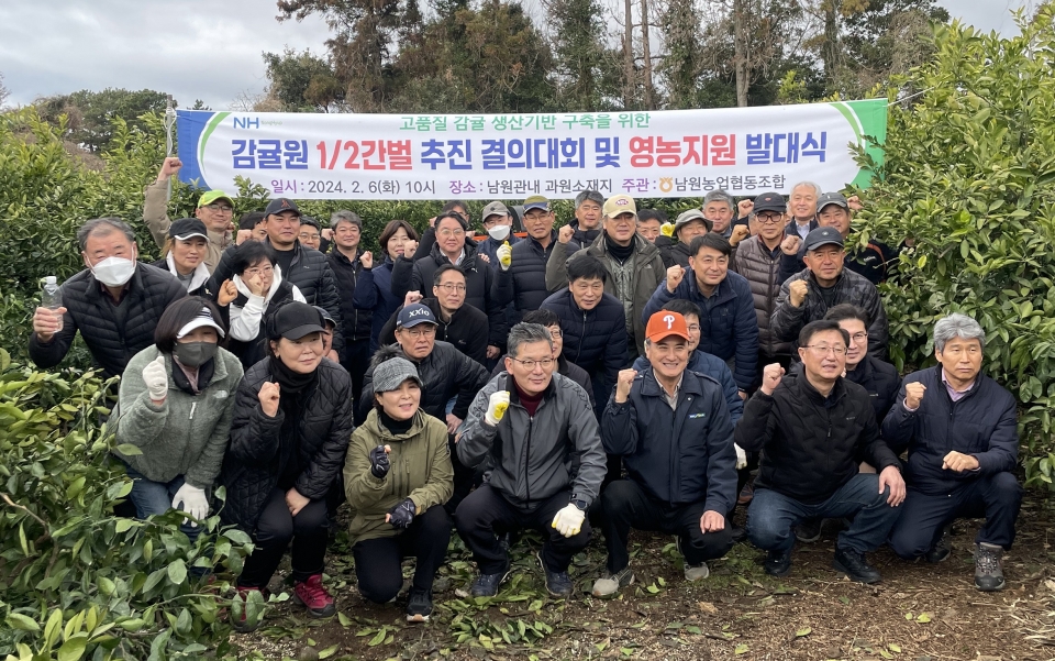 제주농협 2024년도 감귤원 감귤 사업 추진 총력