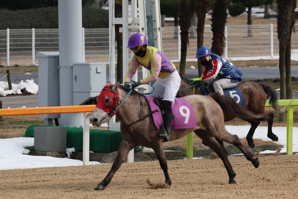 렛츠런파크 제주 ‘문현진 기수 500승·김홍권 기수 300승’ 달성