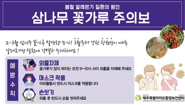제주환경보건센터, 봄철 알레르기 질환 원인 ‘삼나무 꽃가루’ 주의