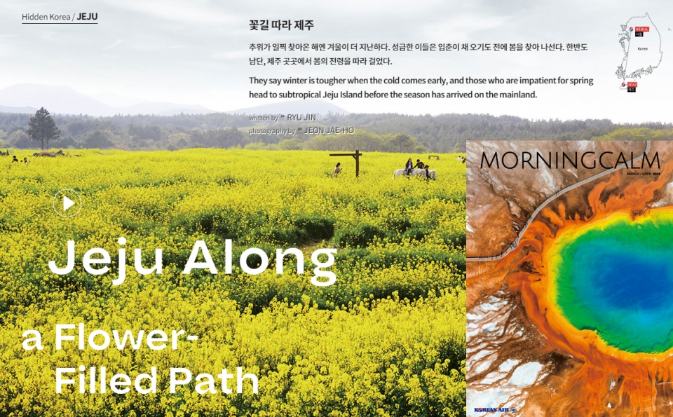 (서귀포유채꽃 축제를 소개하는 대한항공 기내지 Morning Calm 2023년 3.4월 호)