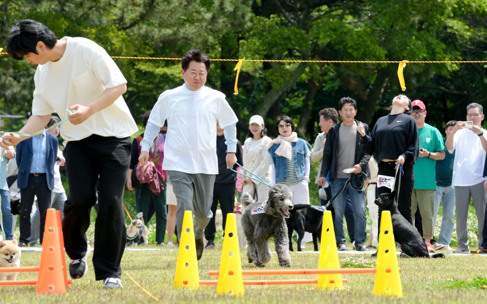 반려동물 문화축제
