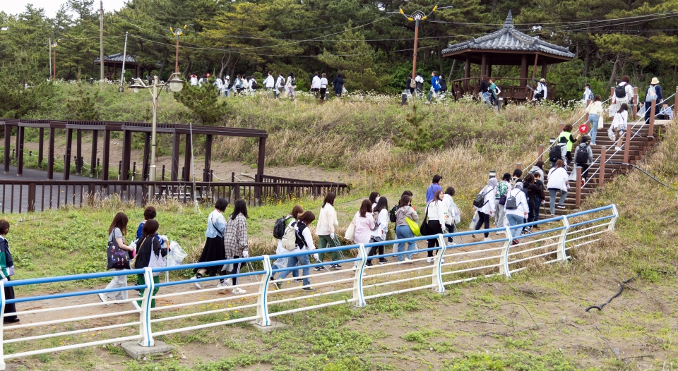 '슈퍼주니어-D&E와 함께 가는 SDGs 투어 in 제주' 플로깅 투어에 참여한 일본인 관광객들