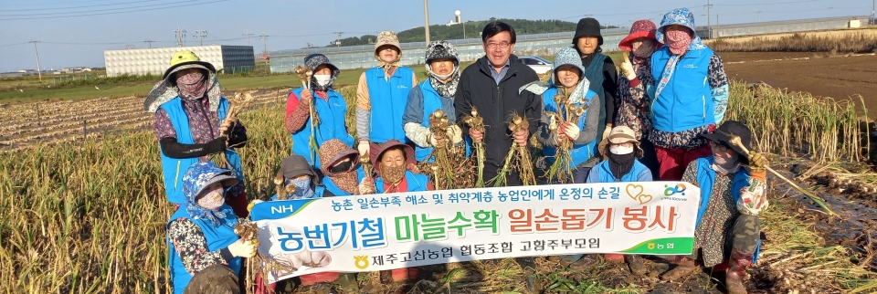 제주고산농협 고향주부모임, “농번기철 마늘수확 일손돕기”봉사활동