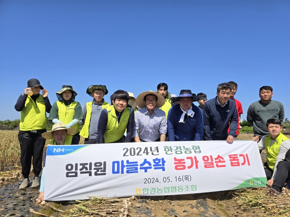 한경농협, 마늘 재배 농가 일손돕기 실시