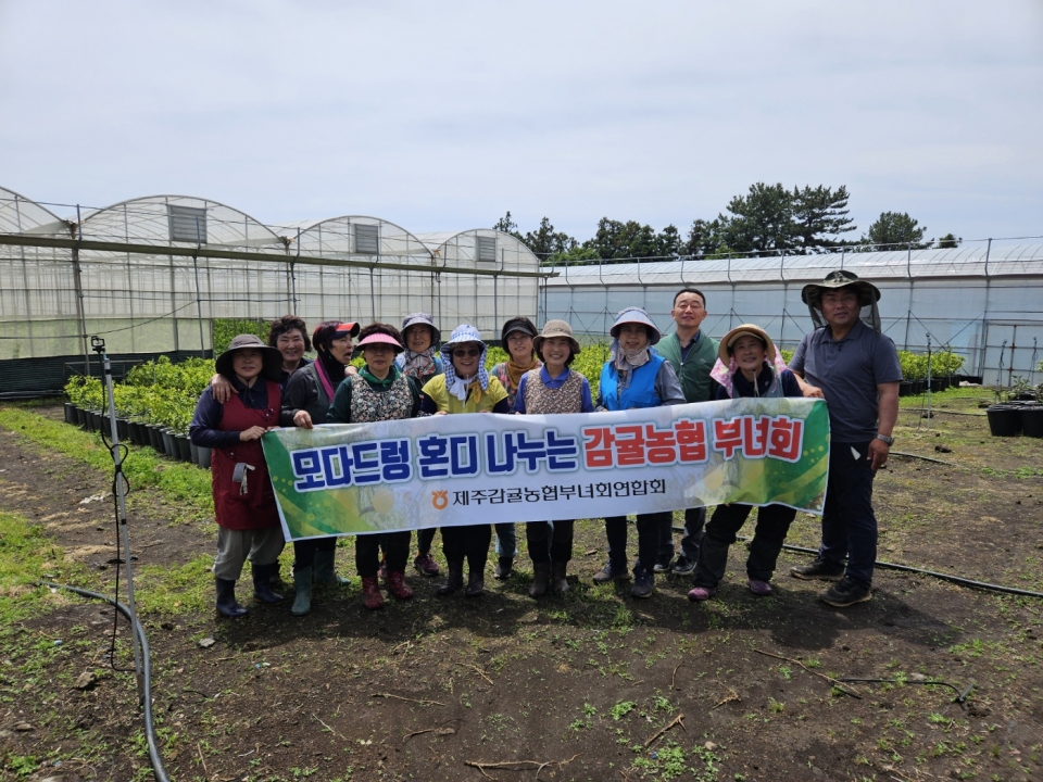 제주감귤농협 부녀회연합회, 우량감귤묘목 생산 육묘사업에 동참