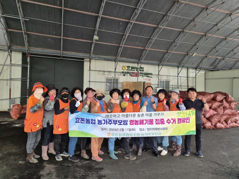 효돈농협 농가주부모임, 영농폐기물 집중 수거 캠페인