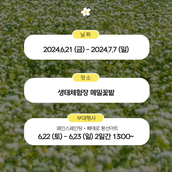메밀꽃축제 홍보 자료