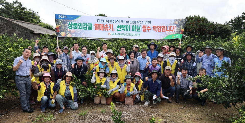제주감귤농업협동조합, 감귤열매솎기 발대식 및 영농교육 실시