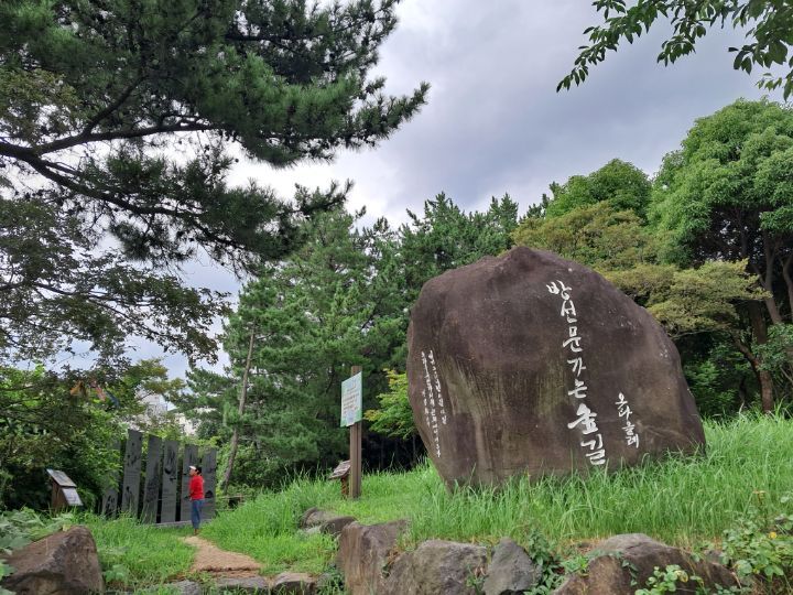 곶자왈(자료사진)