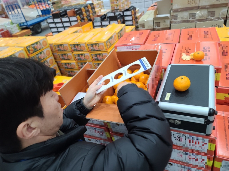 8월29일~9월20일 제수용품 원산지 거짓표시 및 극조생 감귤 불법유통 중점