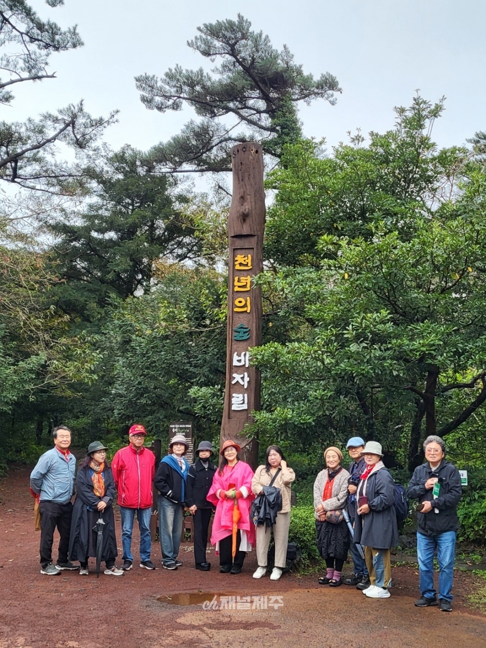 한라산문학회, 천년의 숲 비자림 탐방 행사 성황