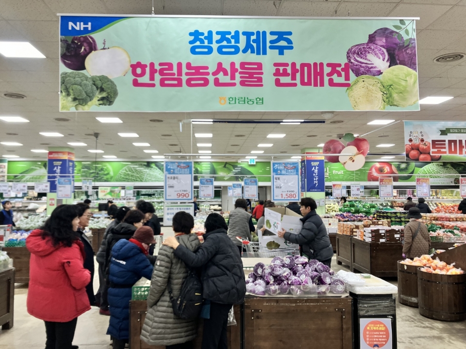 제주 한림농협, 달코미 양배추 소비촉진 및 착즙액 시음행사 동시 개최