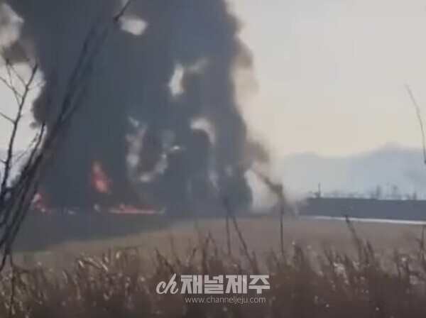 제주항공 여객기 사고 현장 [사진제공=독자]