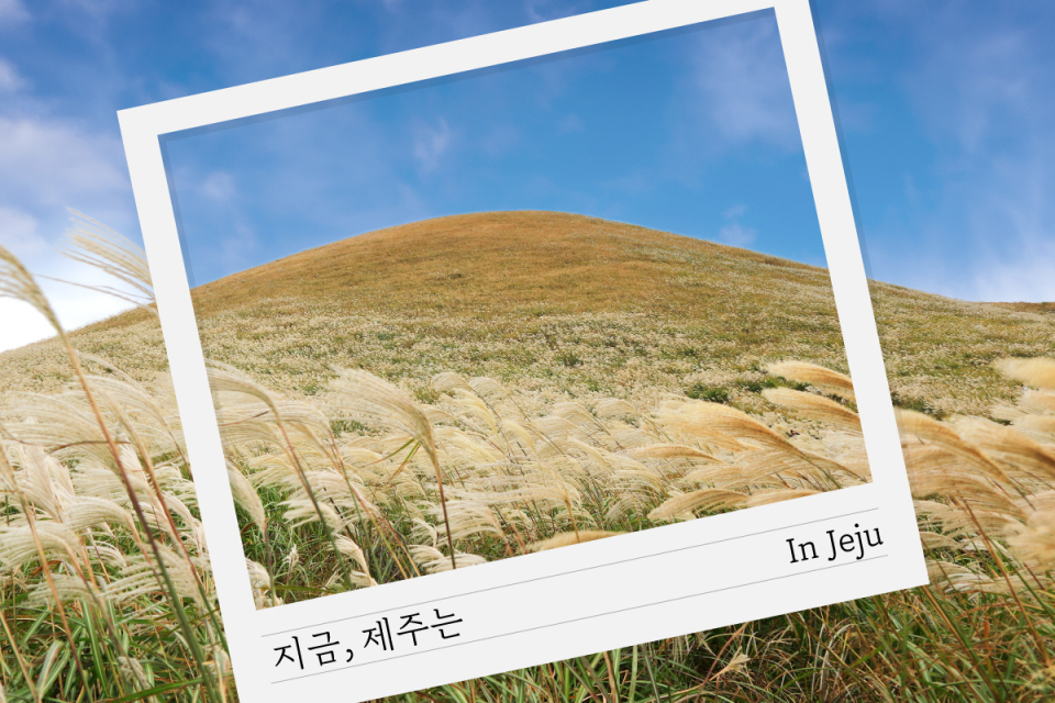 (제주신화월드) ‘지금, 제주는 2025 제주들불축제 VER.’ 패키지