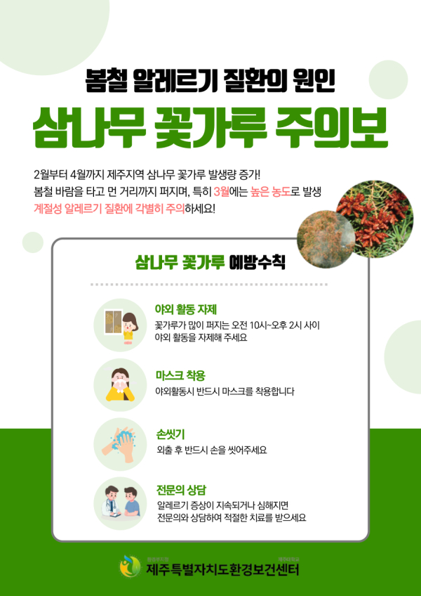 봄철 알레르기 질환의 원인 삼나무 꽃가루 ‘주의보’