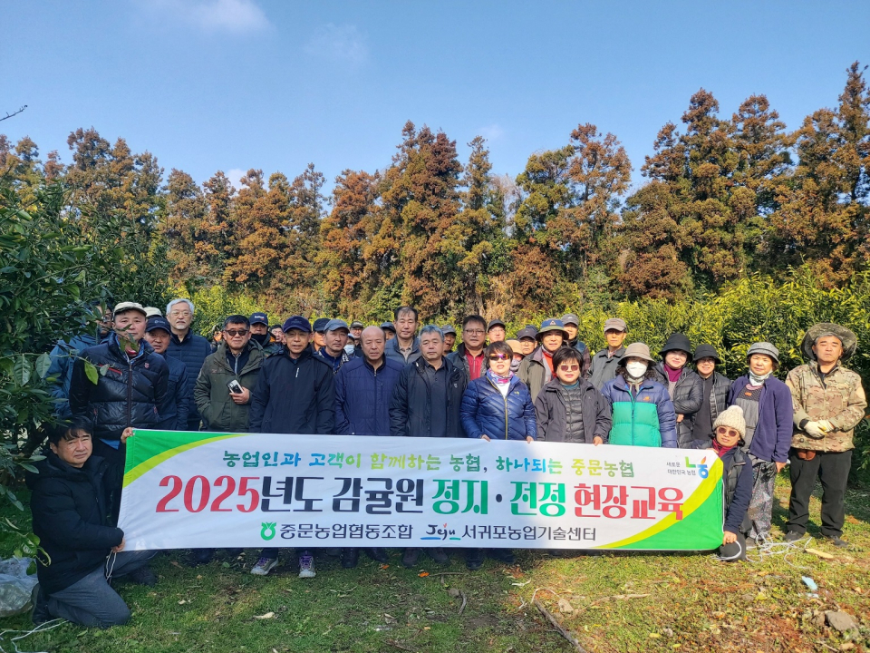 중문농협, 감귤원 품목별 정지전정 현장교육 실시