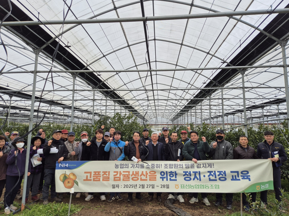 표선농협 노지감귤 및 만감류 정지.전정 교육 실시