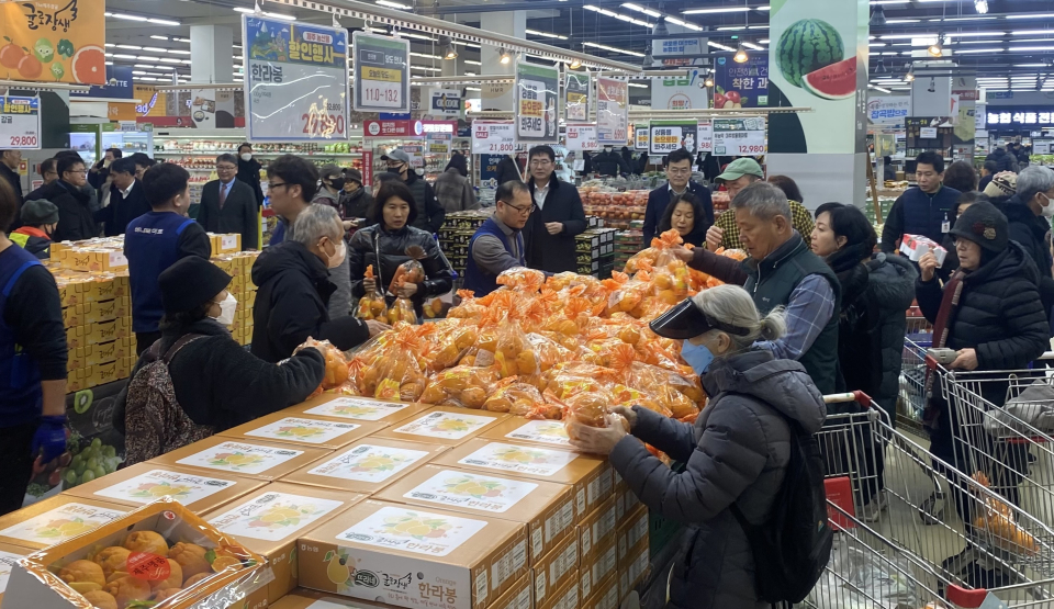 제주농협, 제주산 만감류 소비촉진 확대 총력