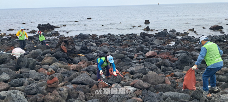 전몰군경유족회 제주도지부, 한림읍 비양도 3.5km 해안 정화