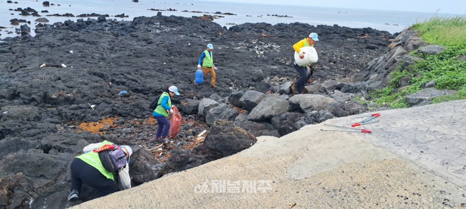전몰군경유족회 제주도지부, 한림읍 비양도 3.5km 해안 정화
