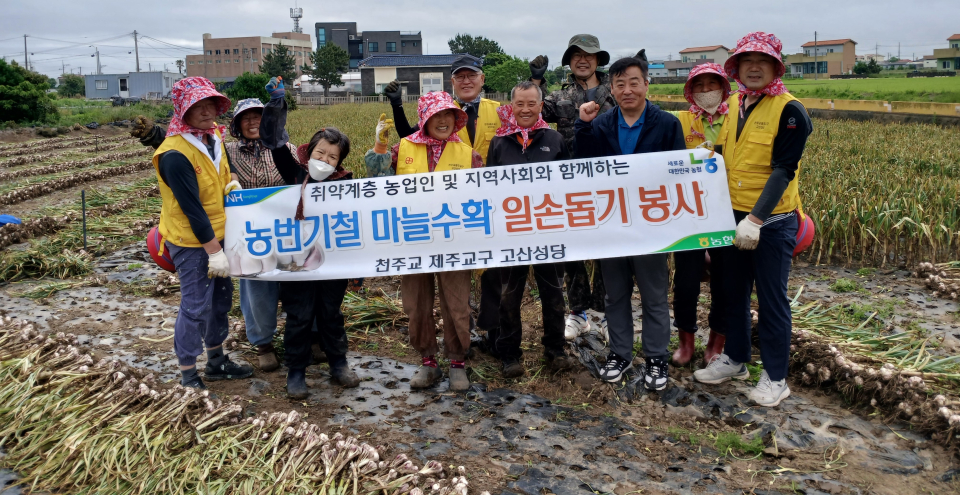 천주교 제주교구 고산성당, 농촌고령 여성단독농업인 일손돕기
