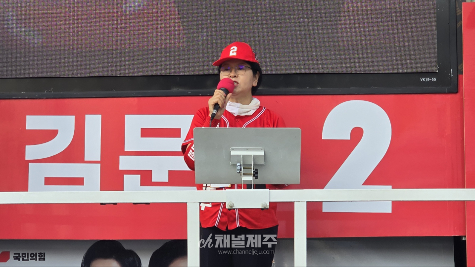 29일, 제주시 탐라문화광장 김문수 후보 유세에 제주도민 관심 집중